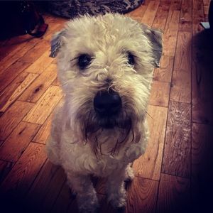 Meet your Posher, Julie